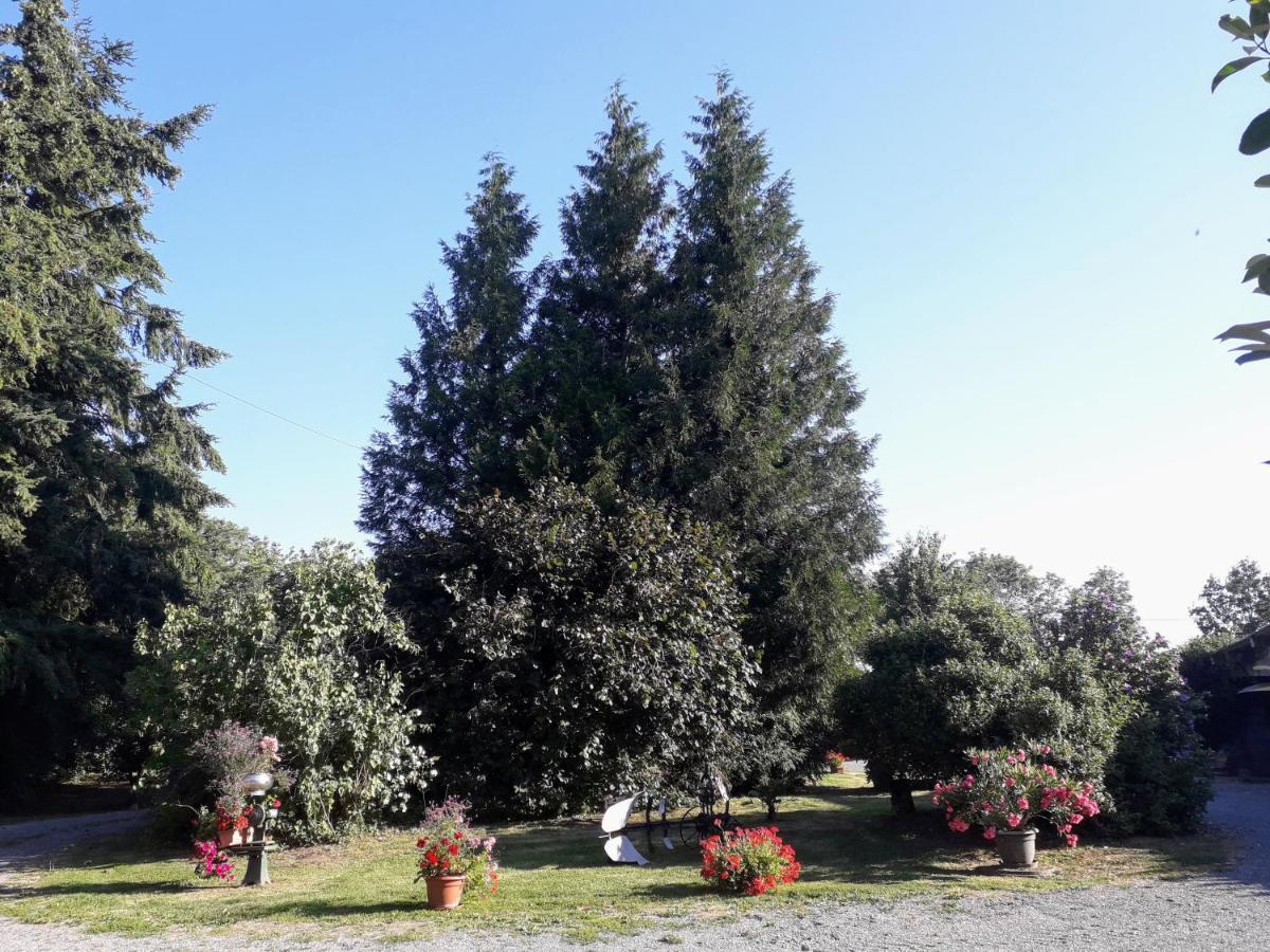 La Chapelle-pres-SeesLa Ferme Des Tertres住宿加早餐旅馆 外观 照片