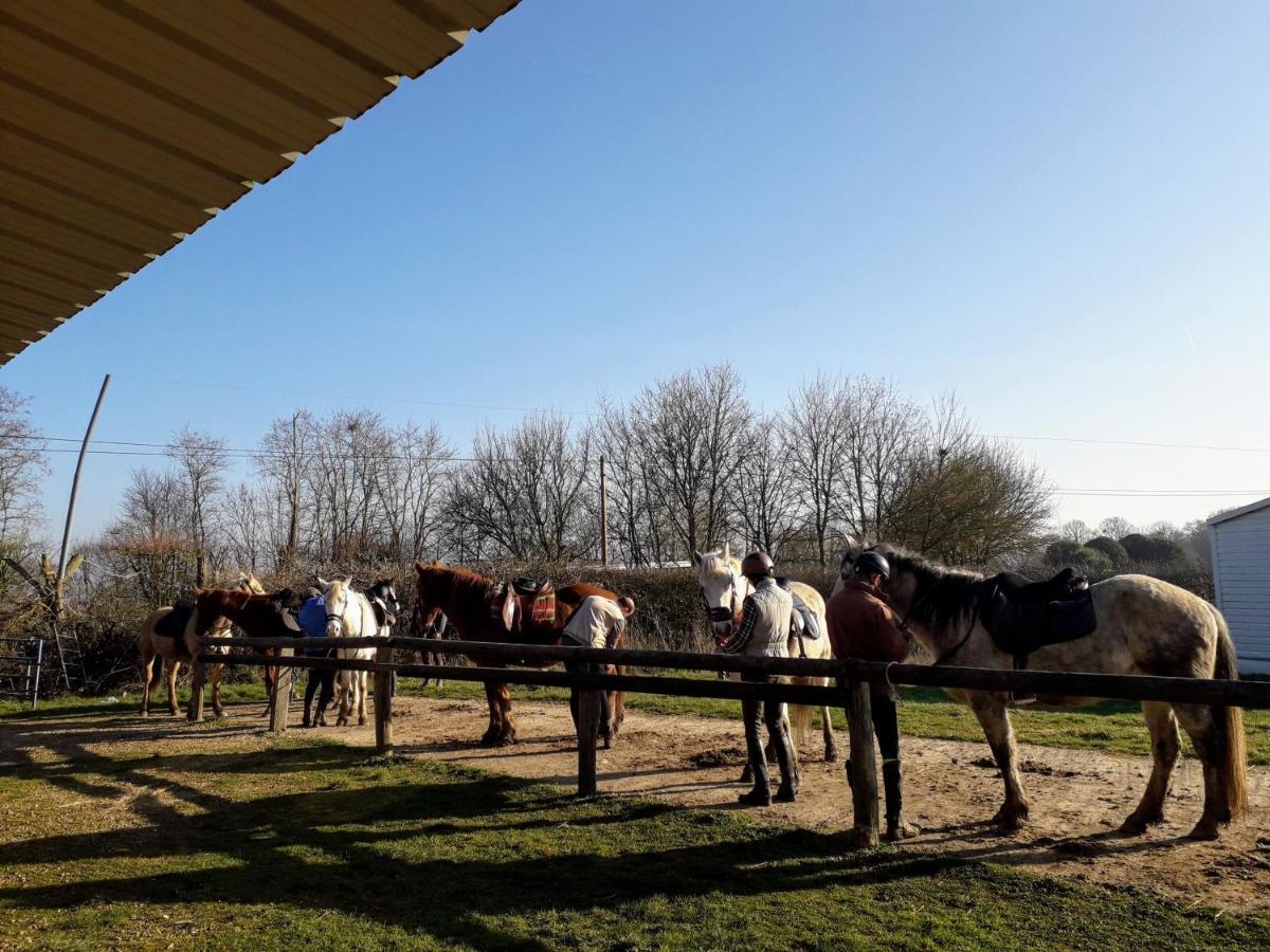 La Chapelle-pres-SeesLa Ferme Des Tertres住宿加早餐旅馆 外观 照片
